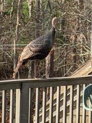 Image file: photo03.jpg