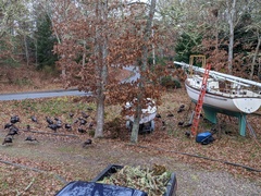 Image file: photo02.jpg