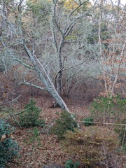 Image file: photo02.jpg