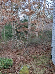 Image file: photo03.jpg