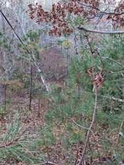 Image file: photo04.jpg