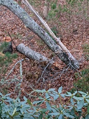 Image file: photo06.jpg