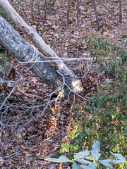 Image file: photo02.jpg