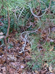 Image file: photo03.jpg