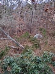 Image file: photo04.jpg