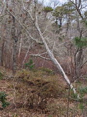 Image file: photo01.jpg