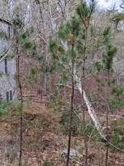 Image file: photo02.jpg