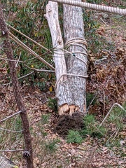 Image file: photo03.jpg