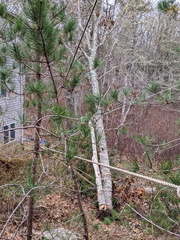 Image file: photo04.jpg