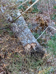 Image file: photo08.jpg