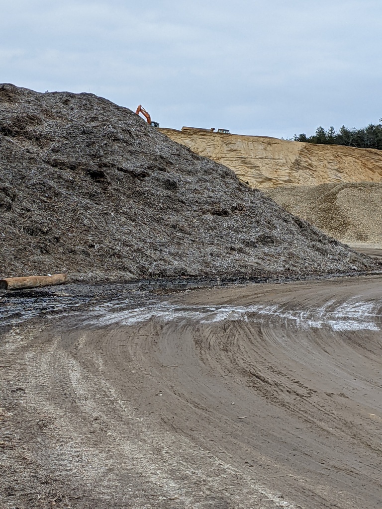 No description provided for: /2021/01-03/0304-cape-sand/photo01.html