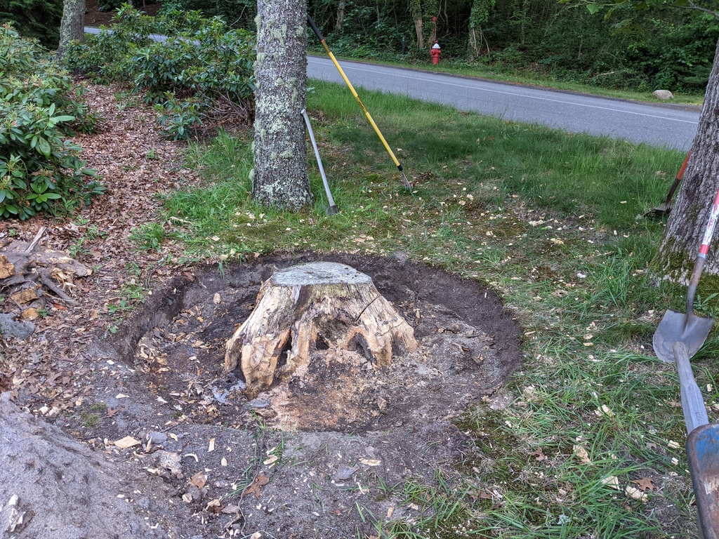 No description provided for: /2021/04-06/0623-tree-stump/photo01.html