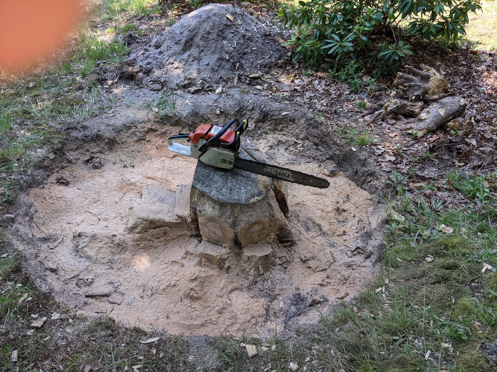 No description provided for: /2021/07-09/0707-tree-stump/photo01.html