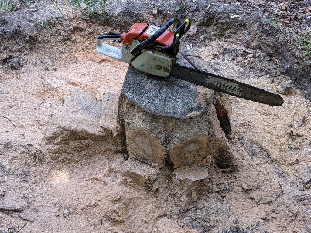 No description provided for: /2021/07-09/0707-tree-stump/photo02.html