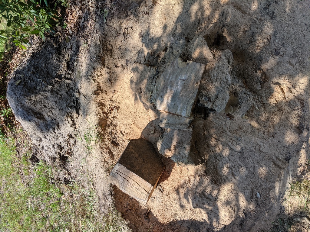 No description provided for: /2021/07-09/0707-tree-stump/photo05.html