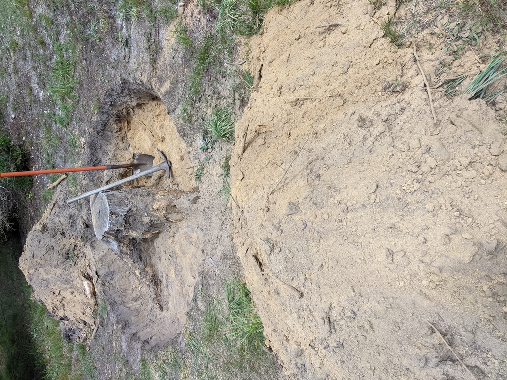 No description provided for: /2021/07-09/0817-new-stump/photo01.html