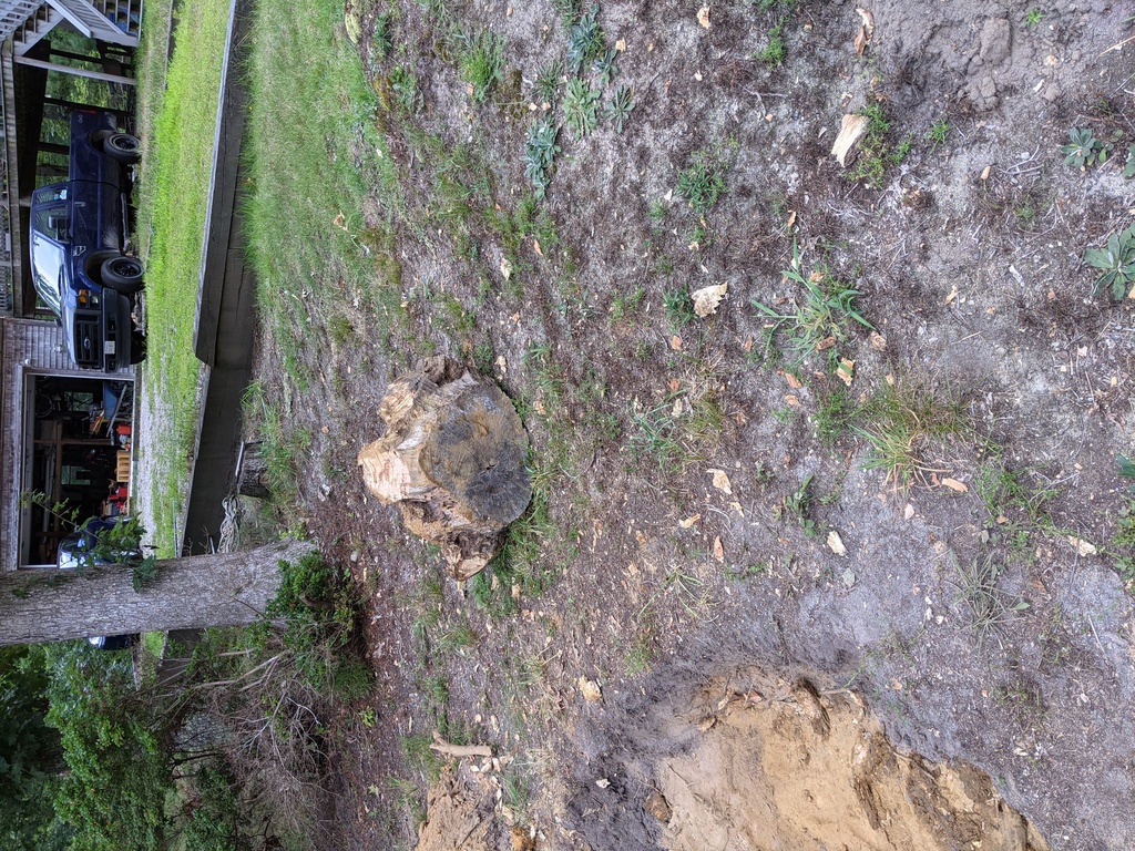 No description provided for: /2021/07-09/0819-new-stump/photo03.html