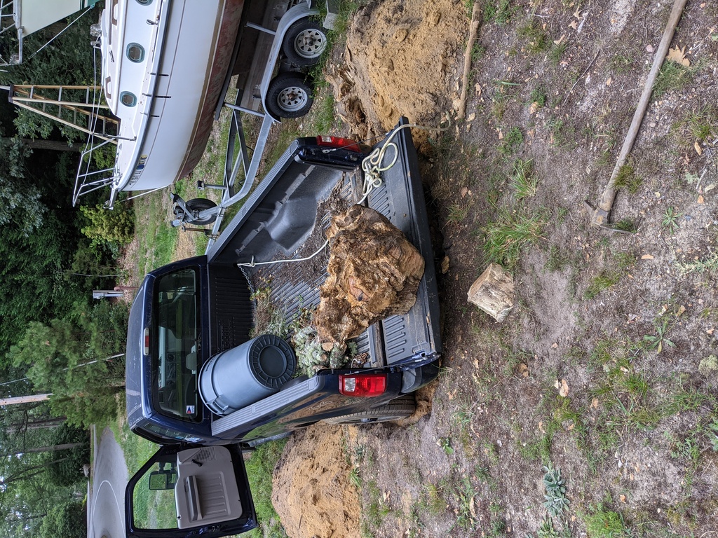 No description provided for: /2021/07-09/0819-new-stump/photo04.html