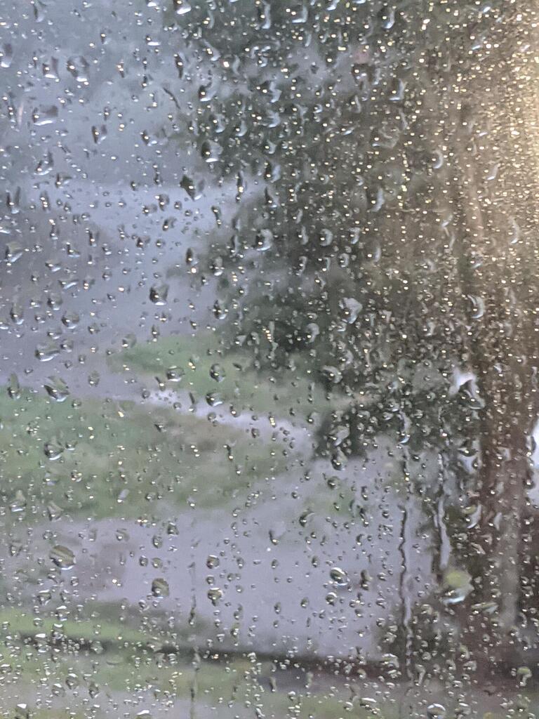 No description provided for: /2021/07-09/0909-lake-tara/photo01.html