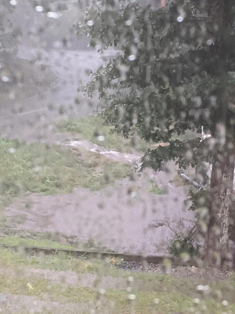 No description provided for: /2021/07-09/0909-lake-tara/photo02.html