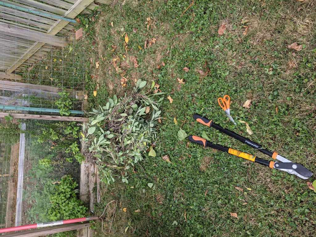 No description provided for: /2021/10-12/1018-erin-sage/photo01.html