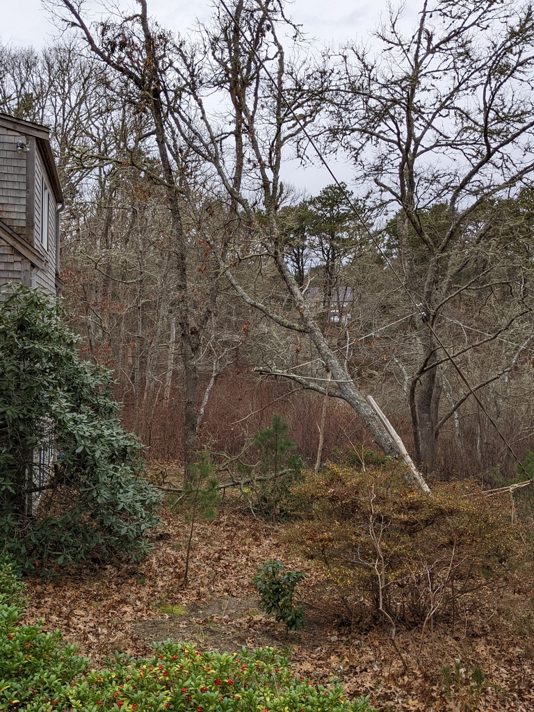 No description provided for: /2021/10-12/1208-broken-tree/photo01.html