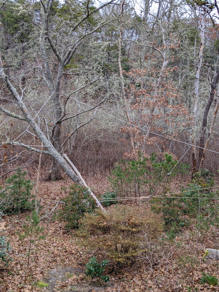 No description provided for: /2021/10-12/1208-broken-tree/photo05.html