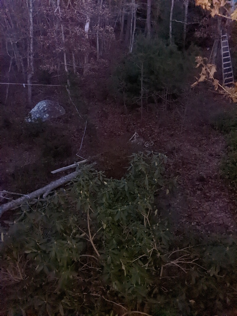 No description provided for: /2021/10-12/1213-broken-tree/photo10.html