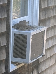 Image file: photo02.jpg