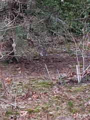 Image file: photo01.jpg