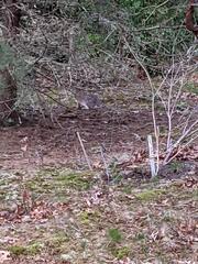 Image file: photo02.jpg