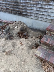 Image file: photo01.jpg