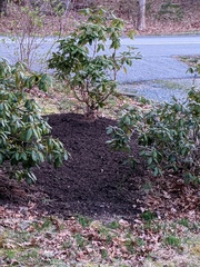 Image file: photo02.jpg