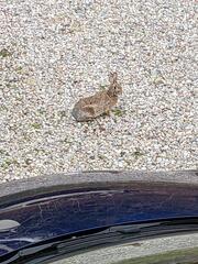 Image file: photo01.jpg