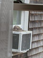 Image file: photo01.jpg