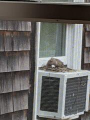 Image file: photo02.jpg