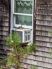 Image file: photo01.jpg