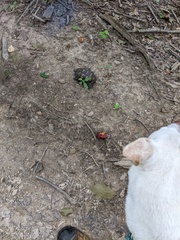 Image file: photo01.jpg