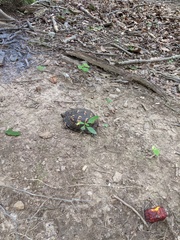 Image file: photo02.jpg