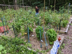 Image file: photo01.jpg