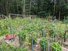 Image file: photo02.jpg