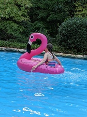 Image file: photo01.jpg