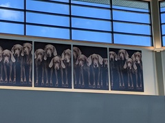 Image file: photo01.jpg