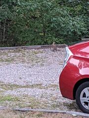 Image file: photo02.jpg