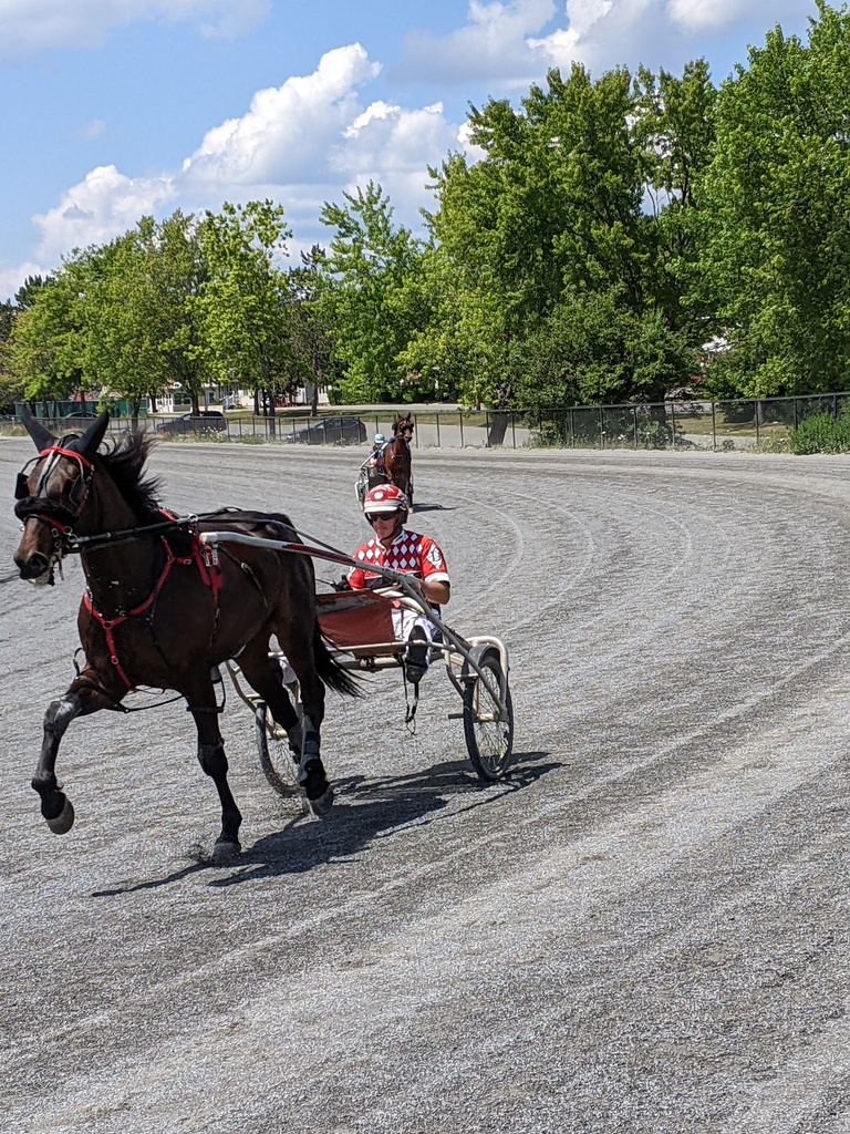 No description provided for: /2022/07-09/0713-trotters+paulb/photo01.html