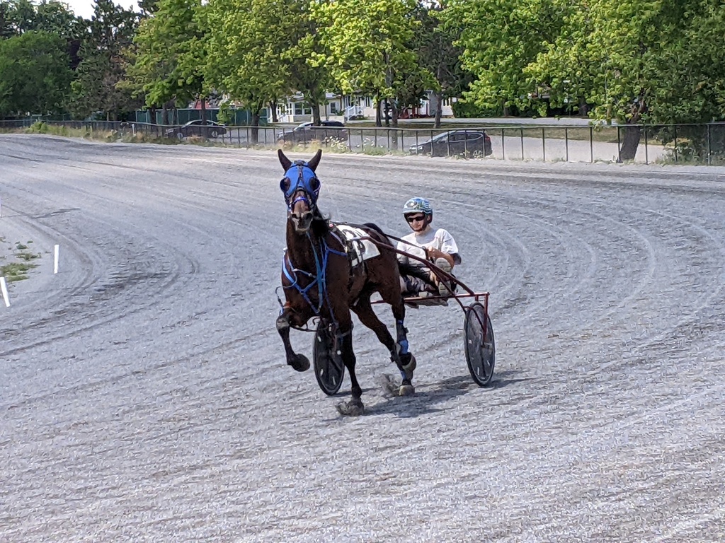 No description provided for: /2022/07-09/0713-trotters+paulb/photo03.html