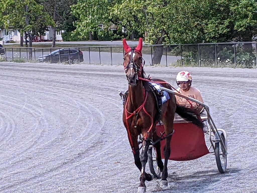 No description provided for: /2022/07-09/0713-trotters+paulb/photo06.html