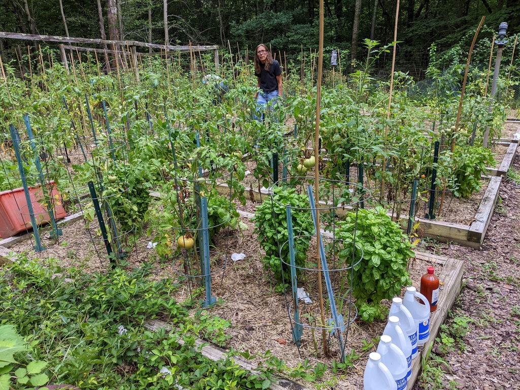 No description provided for: /2022/07-09/0801-joann-garden/photo01.html