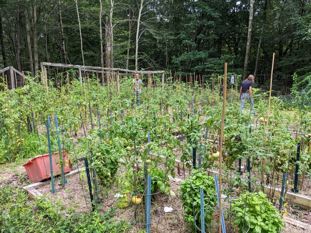 No description provided for: /2022/07-09/0801-joann-garden/photo02.html