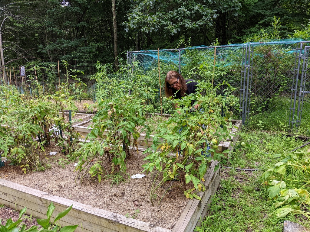 No description provided for: /2022/07-09/0801-joann-garden/photo04.html